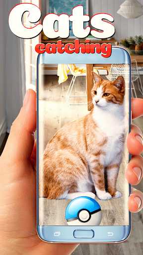 Collect all cats! Screen 2