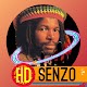 Senzo songs- Jamaica reggae music Download on Windows