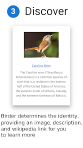 Screenshot 3 Birder.AI - The Bird Sound Ide android