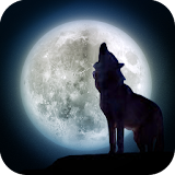 脱出ゲーム: 狼の隠した切り札 icon