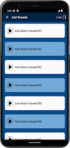Car Alarm Sounds