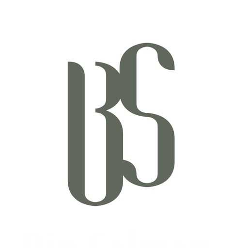 BIN SALMAN Real Estate logo