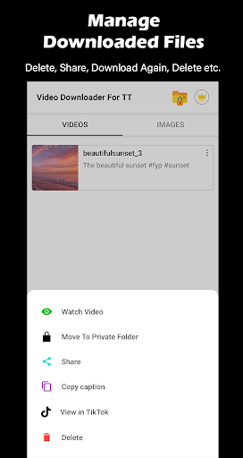 Video Downloader For TT 11