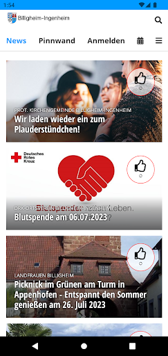 Billigheim-Ingenheim Screen 2