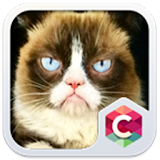 Grumpy Cat Theme C Launcher icon