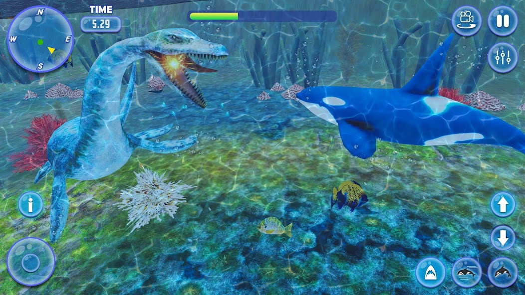 Orca Killer Whale Simulator 11 APK + Mod (Remove ads / Mod speed) for Android