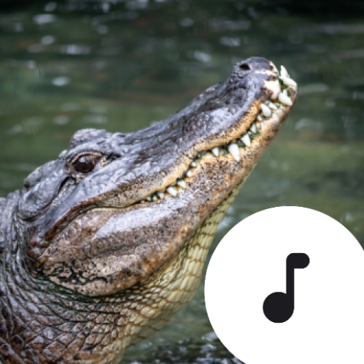 Alligator Sounds logo