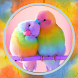 Bird Wallpaper 4k - Ringtones - Androidアプリ