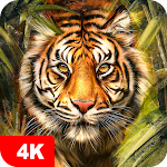 Cover Image of ดาวน์โหลด วอลเปเปอร์เสือ 4K 5.5.80 APK