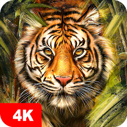 Symbolbild für Hintergrundbilder mit Tiger 4K