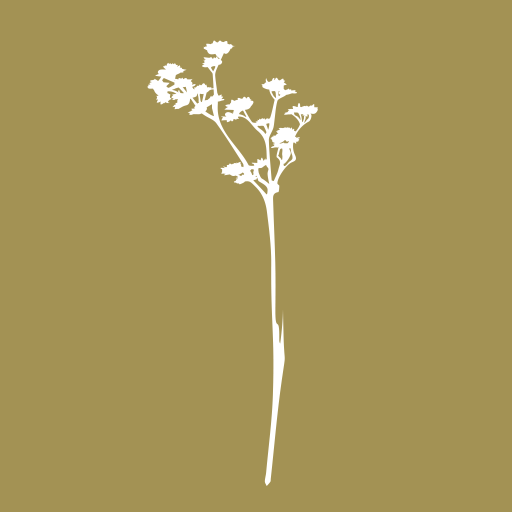 Les Maisons du Maquis logo