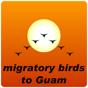 Bird to Guam