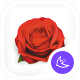 Rosa-APUS Launcher theme icon