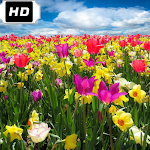 Cover Image of Download ازهار الربيع : خلفيات زهور الربيع الجديدة 4 APK