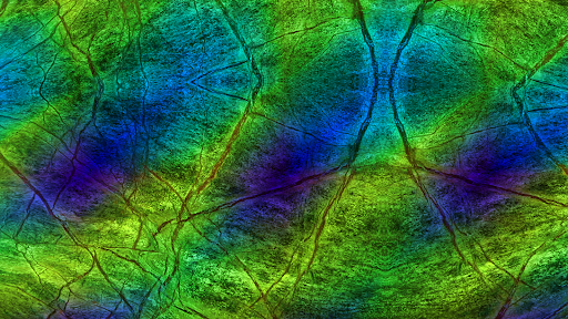 Screenshot of Mystic Nature Music Visualizer