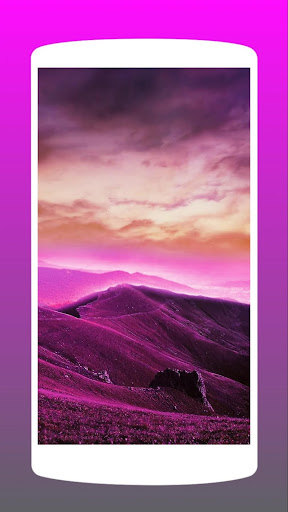 Purple Wallpaper HD 4K