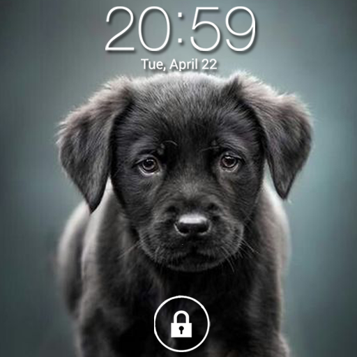 Puppy Dog Lock Screen  Icon