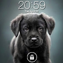 Puppy Dog Lock Screen APK