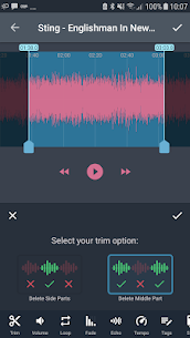 Audio Editing Pro: AndroSound MOD APK (Premium freigeschaltet) 5
