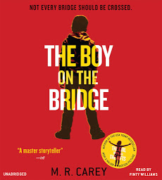 Icon image The Boy on the Bridge