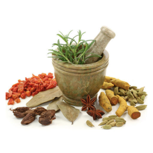 Ayurvedic Jadi-Buti (आयुर्वेदि logo