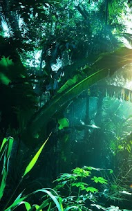 Jungle Live Wallpaper For PC installation