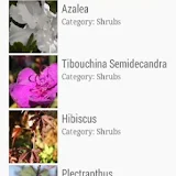 Categories of Flowers icon