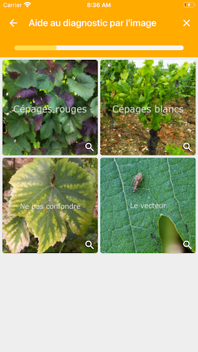 Vigie Bourgogne Screen 3
