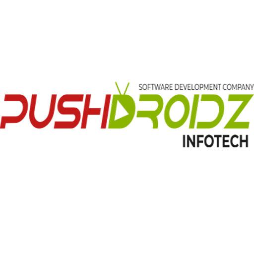 Pushdroidz Infotech
