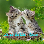 Cover Image of Download Cute Kitten Wallpaper HD 1.0.0 APK