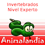Cover Image of ดาวน์โหลด Animalandia Visu 2 2.5 APK