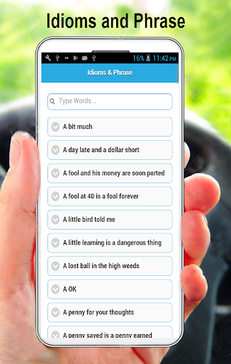 Idioms & Phrase For Students Screen 3