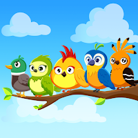 Color Bird Game: Sort It Now