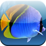 Sea Fish Wallpaper icon