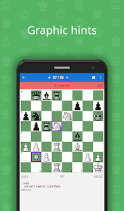 Mate in 2 (Chess Puzzles) 2