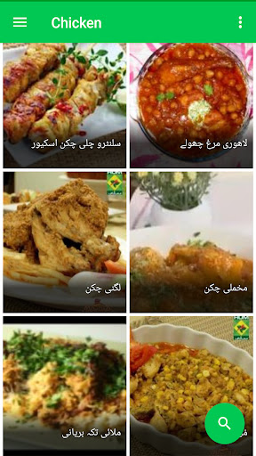 Chicken Recipes in Urdu Screen 2