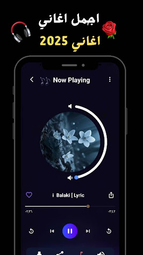 Aperçu de l'application