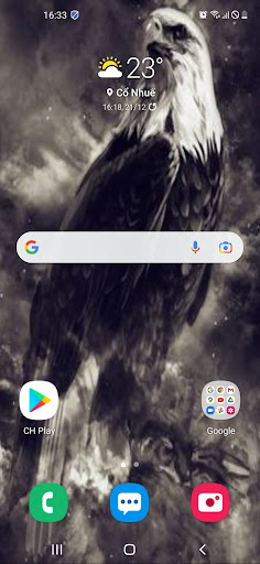 Eagle Wallpaper 2024 Screen 2