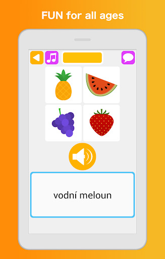 Screenshot of Learn Czech Language