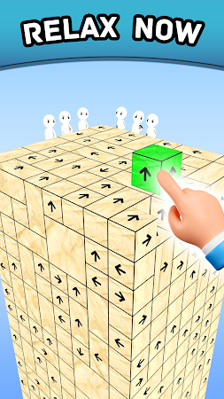 Game screenshot Tap Master - Take Blocks Away hack