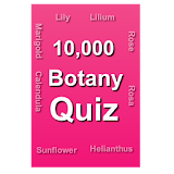 Botany quiz icon