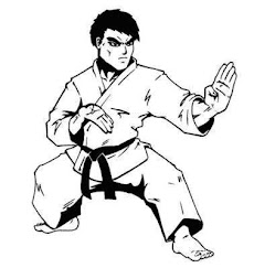 Técnicas de Karateのおすすめ画像2