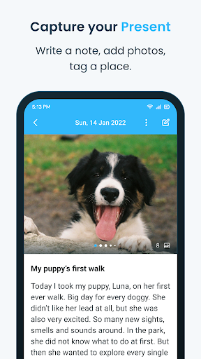 Brightway: Journal, Diary Screen 2