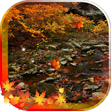 Autumn Forest live wallpaper icon