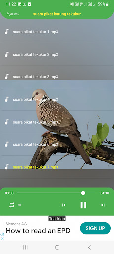 Suara pikat burung tekukur Screen 3