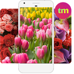 Cover Image of Download Flower Wallpaper HD  APK