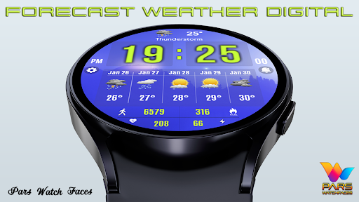 Forecast Weather Digital screenshot 11