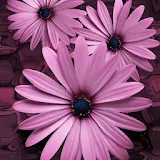Beautiful flowers on violet icon