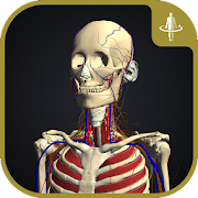 Top 27 Medical Apps Like 3D motion anatomy teamLabBody - Best Alternatives
