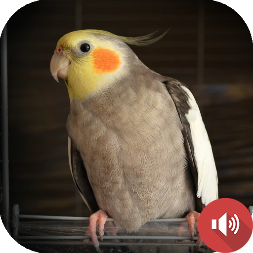 Cockatiel Sounds logo